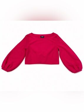 Maeve Anthropologie Raspberry Lace-Up Corset Back Balloon Sleeve Crop Top - M